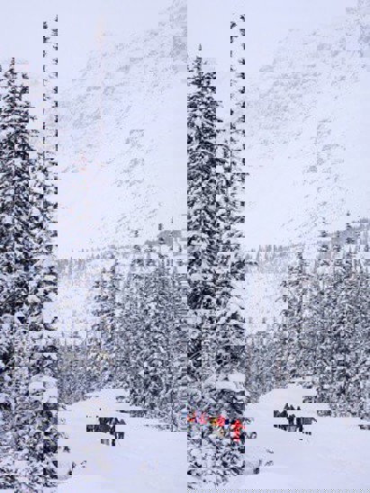 listing-details-carousel