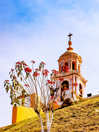 listing-details-carousel