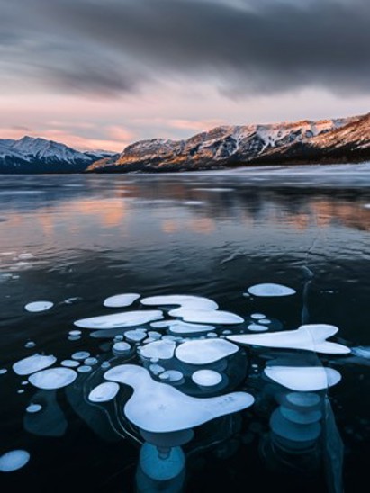 listing-details-carousel