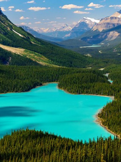 listing-details-carousel