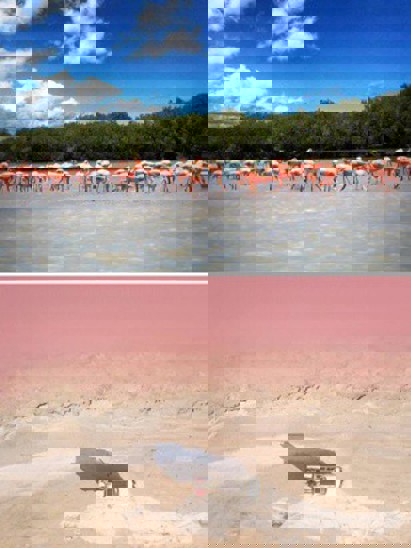 listing-details-carousel