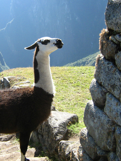 listing-details-carousel