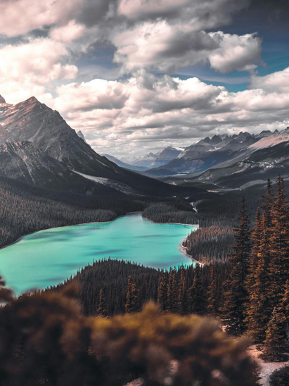 listing-details-carousel