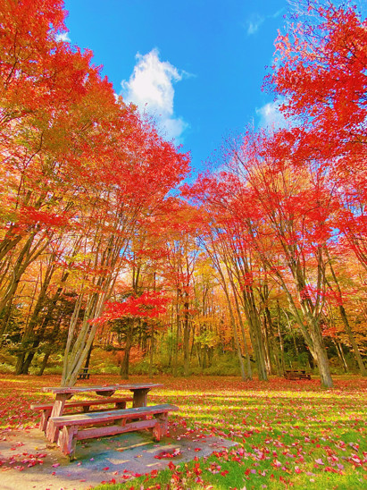 listing-details-carousel