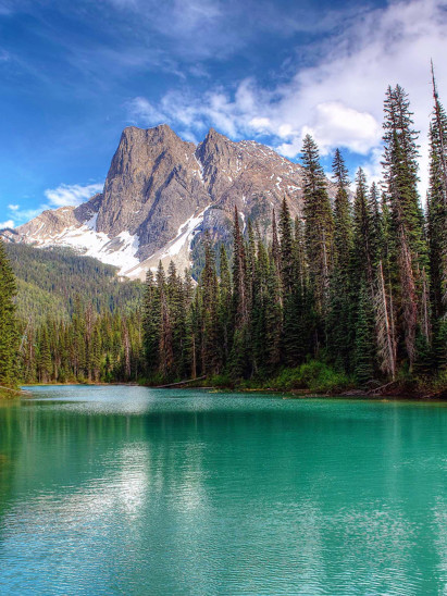 listing-details-carousel