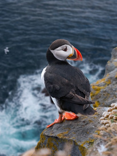 listing-details-carousel