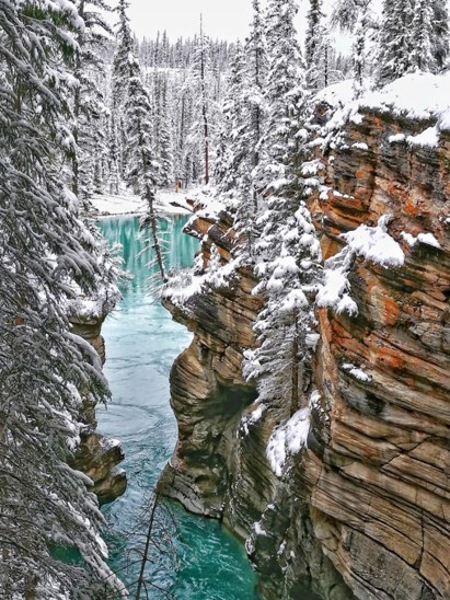 listing-details-carousel