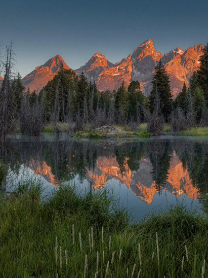 listing-details-carousel