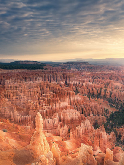 listing-details-carousel