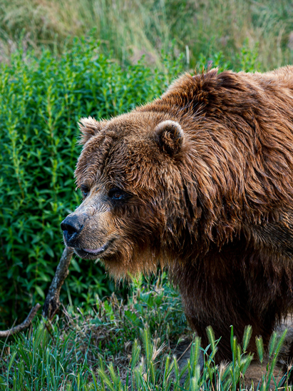 listing-details-carousel