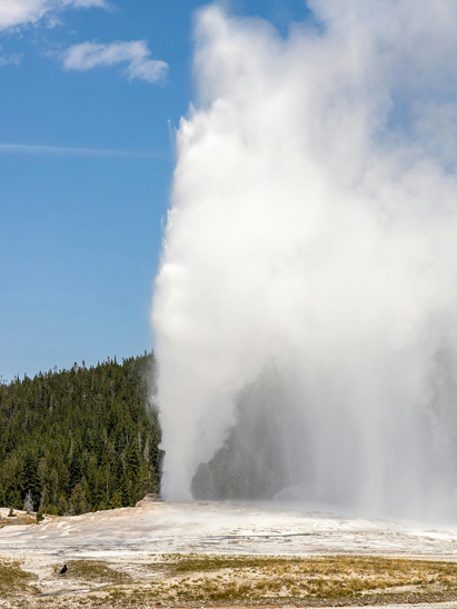 listing-details-carousel