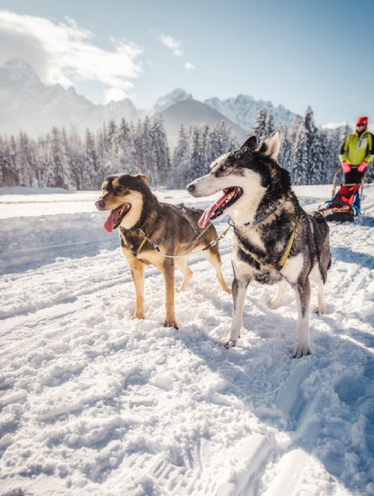 listing-details-carousel