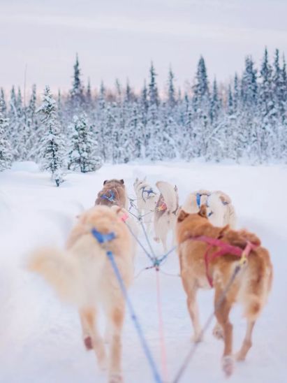 listing-details-carousel