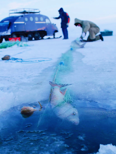 阿拉斯加2025-2026北极光季&费尔班克斯冰湖垂钓及烤鱼之旅