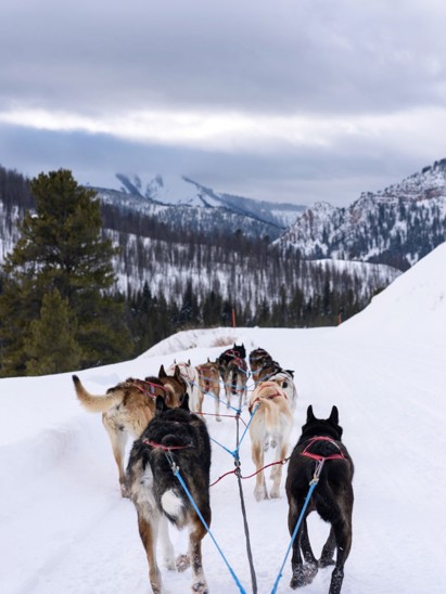 listing-details-carousel