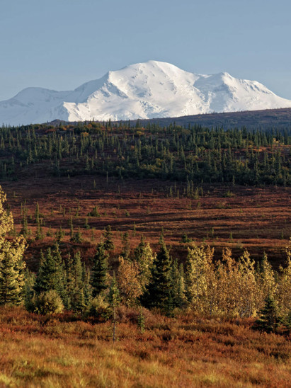 listing-details-carousel