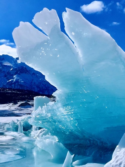 listing-details-carousel